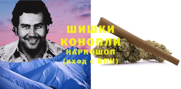 марки lsd Новозыбков