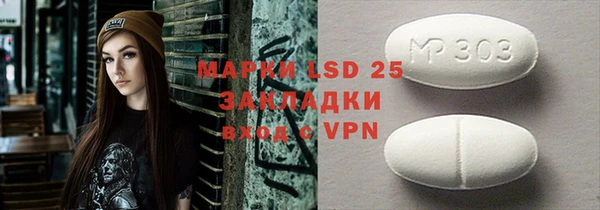 индика Новодвинск