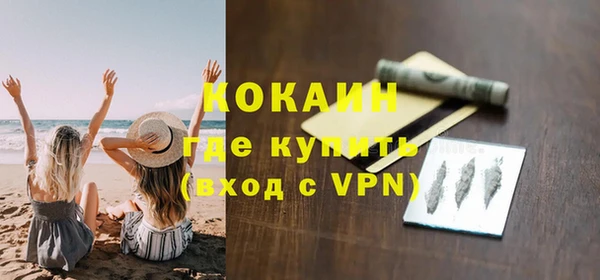 индика Новодвинск