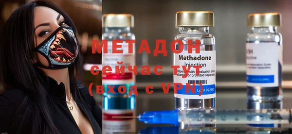 индика Новодвинск