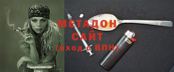 индика Новодвинск