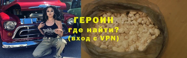 индика Новодвинск