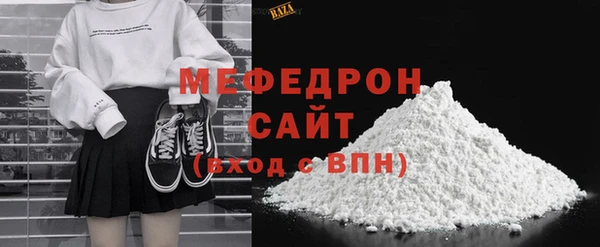 индика Новодвинск