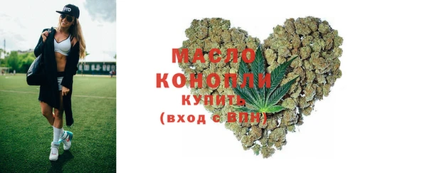 индика Новодвинск