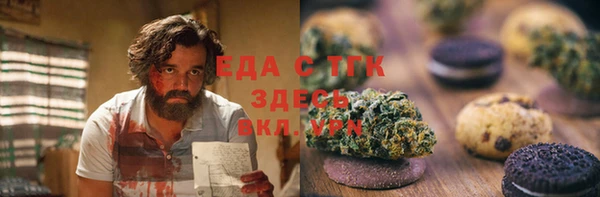 индика Новодвинск