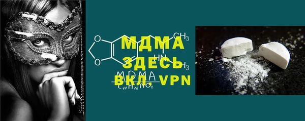 индика Новодвинск