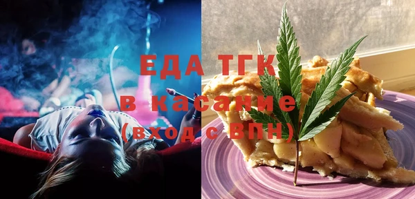 индика Новодвинск