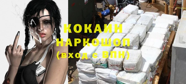 индика Новодвинск