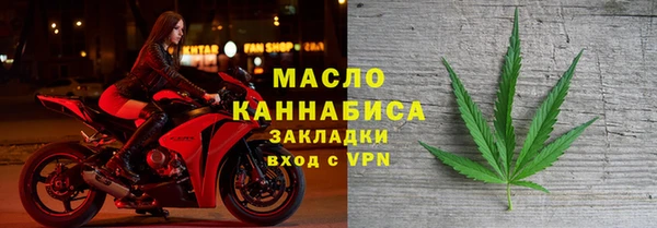 индика Новодвинск