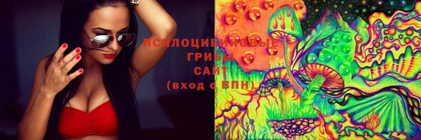 герыч Новокубанск