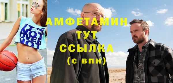 индика Новодвинск