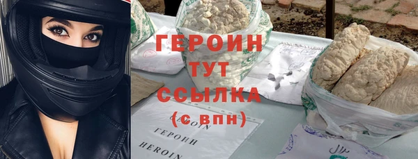 индика Новодвинск