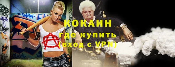 индика Новодвинск