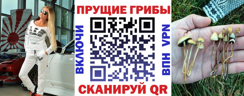 Псилоцибиновые грибы прущие грибы Смоленск