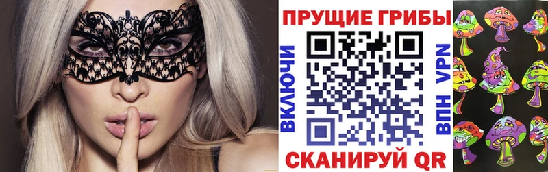 как найти   Смоленск  Псилоцибиновые грибы Psilocybe 