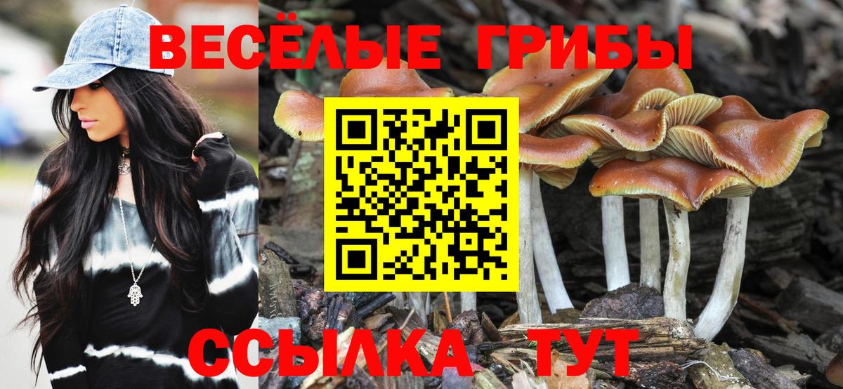 Галлюциногенные грибы мухоморы Смоленск